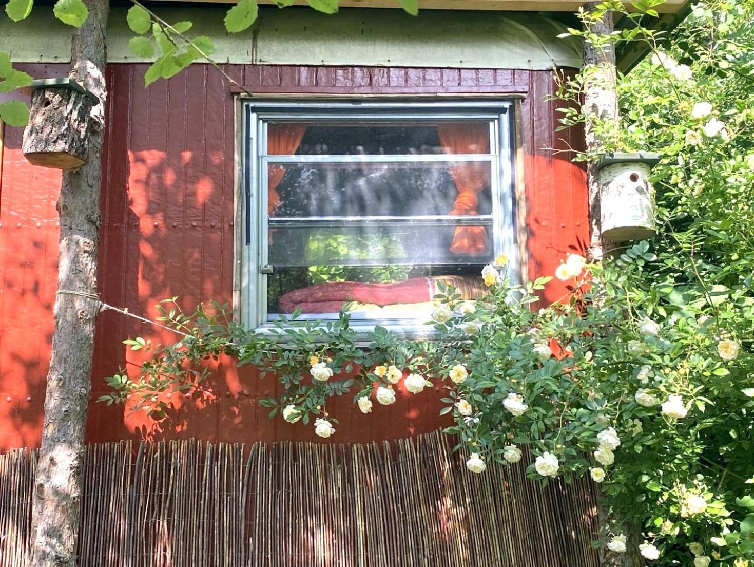 Kuscheliger Zirkuswagen Im Wildgarten Witzenhausen Εξωτερικό φωτογραφία