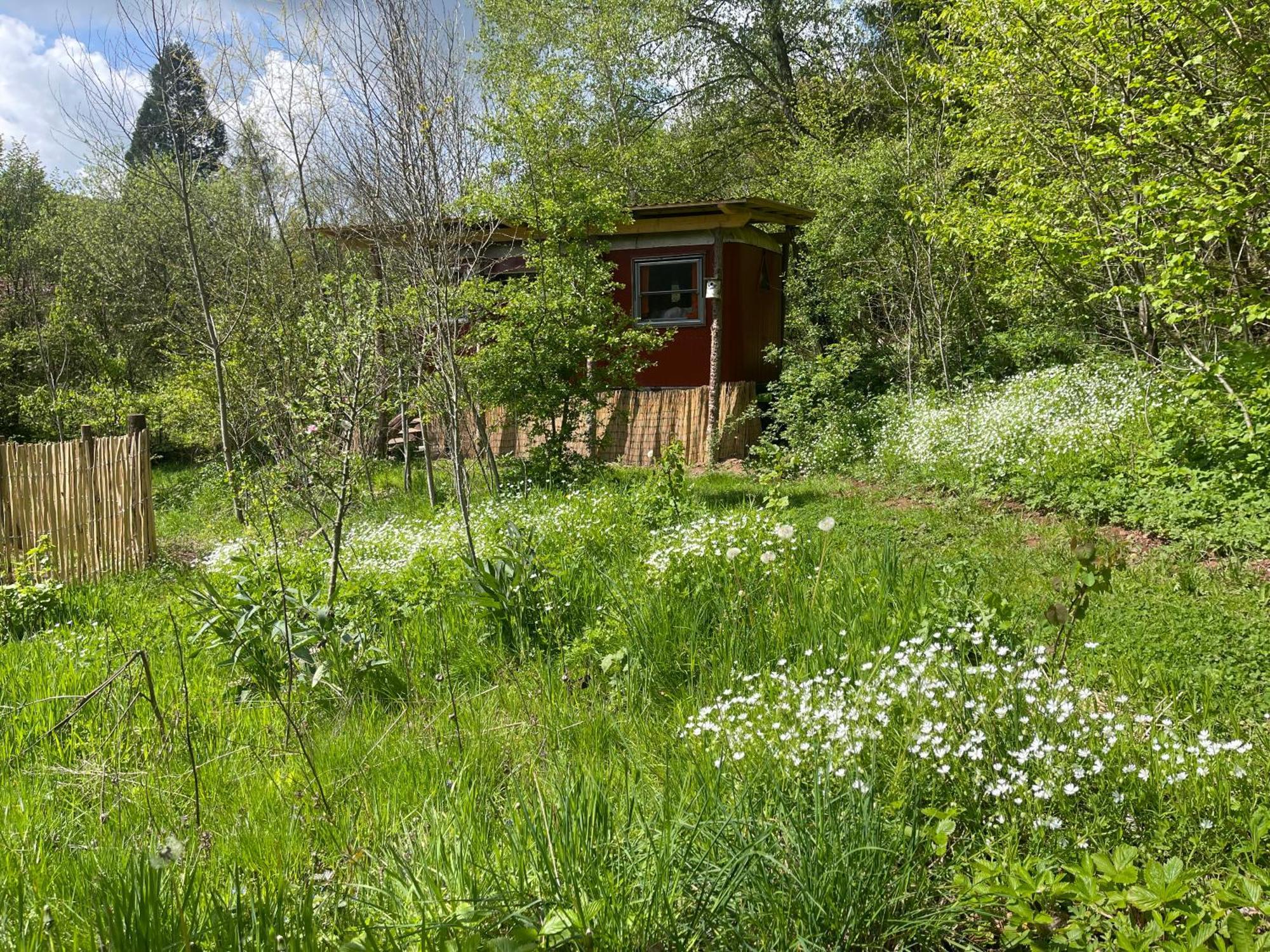 Kuscheliger Zirkuswagen Im Wildgarten Witzenhausen Εξωτερικό φωτογραφία